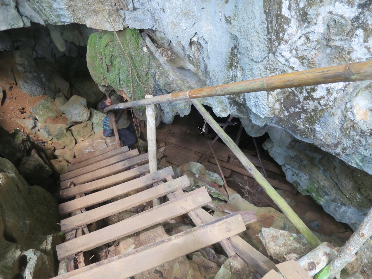 Elephant Adventure Village Tree House Vang Vieng Bagian luar foto